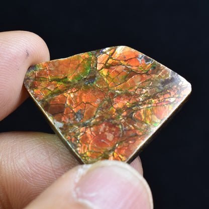 Canadian Natural Ammolite, Ammonite Freeform Polished Cabochon Specimen - 2.6cm x 2.5cm - 5.3 grams