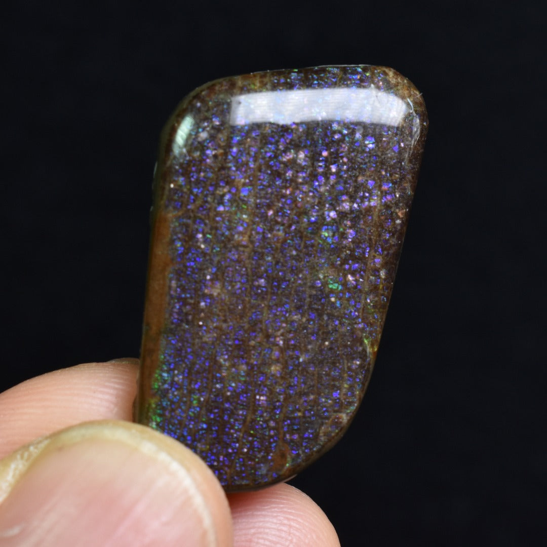 Canadian Natural Ammolite, Ammonite Freeform Polished Cabochon Specimen - 3.2cm x 1.9cm - 5.2 grams