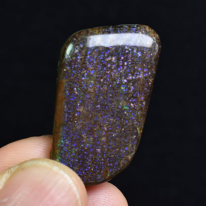 Canadian Natural Ammolite, Ammonite Freeform Polished Cabochon Specimen - 3.2cm x 1.9cm - 5.2 grams