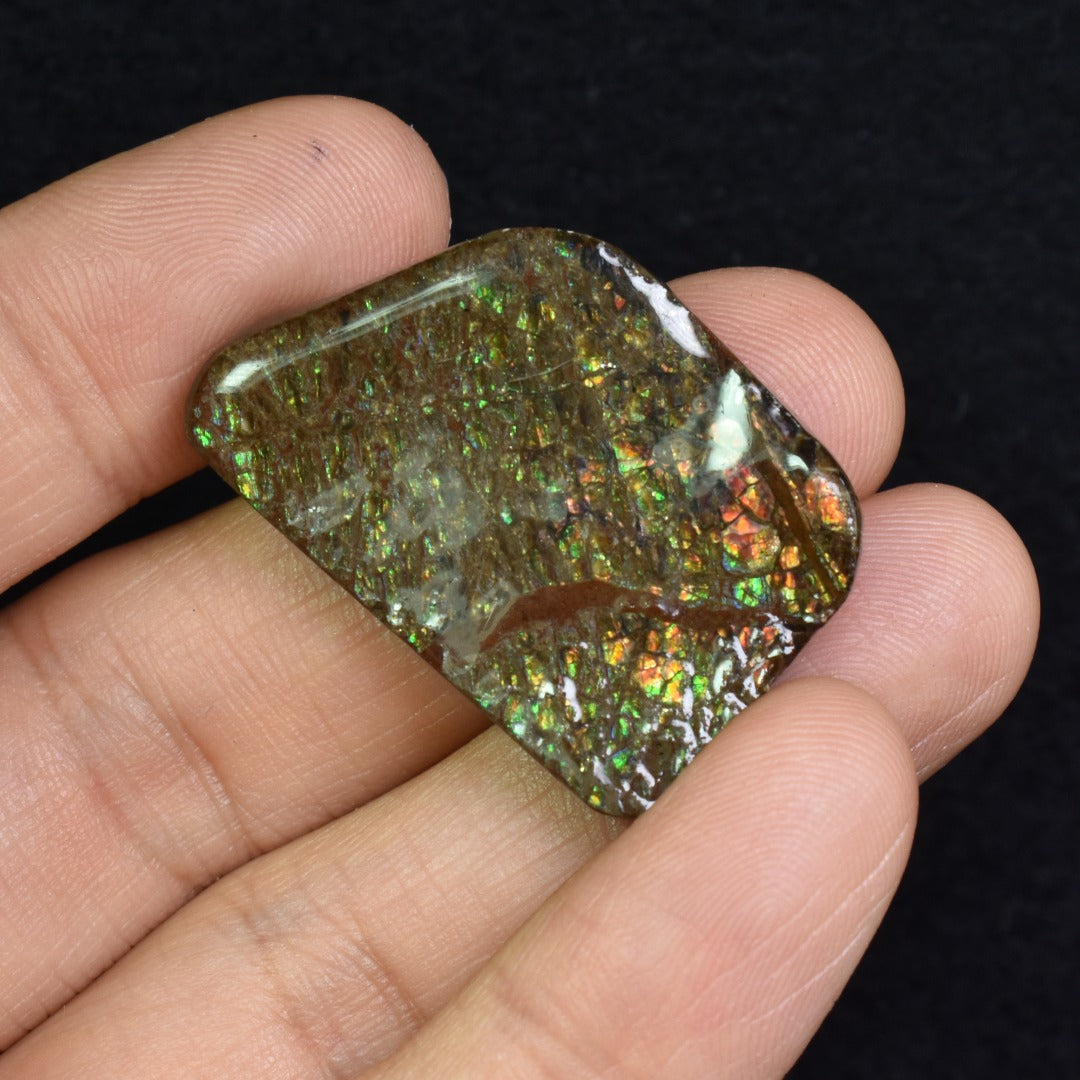 Canadian Natural Ammolite, Ammonite Freeform Polished Cabochon Specimen - 3.3cm x 2.2cm - 11 grams