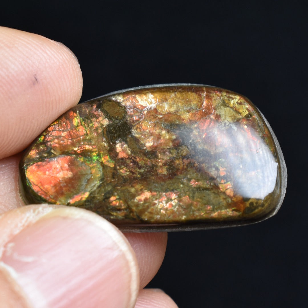 Canadian Natural Ammolite, Ammonite Freeform Polished Cabochon Specimen - 2.8cm x 1.8cm - 3.1 grams