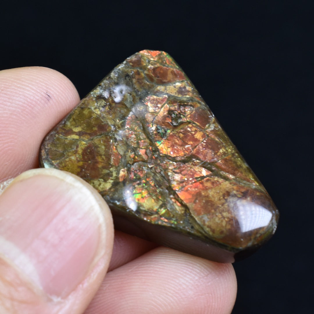 Canadian Natural Ammolite, Ammonite Freeform Polished Cabochon Specimen - 3.2cm x 2.2cm - 12.8 grams