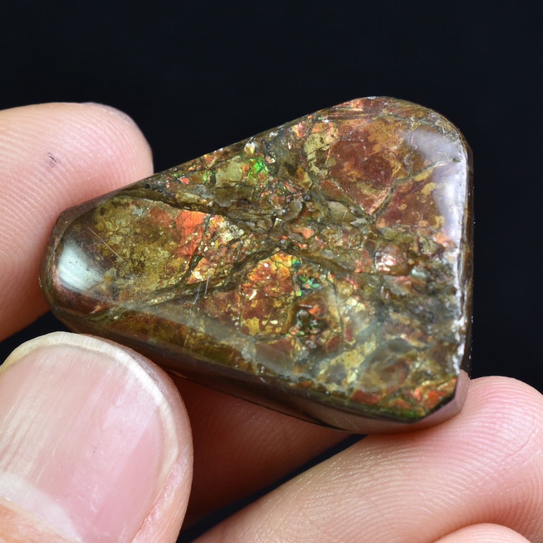 Canadian Natural Ammolite, Ammonite Freeform Polished Cabochon Specimen - 3.2cm x 2.2cm - 12.8 grams