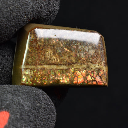 Canadian Natural Ammolite, Ammonite Freeform Polished Cabochon Specimen - 2.8cm x 1.8cm - 7 grams