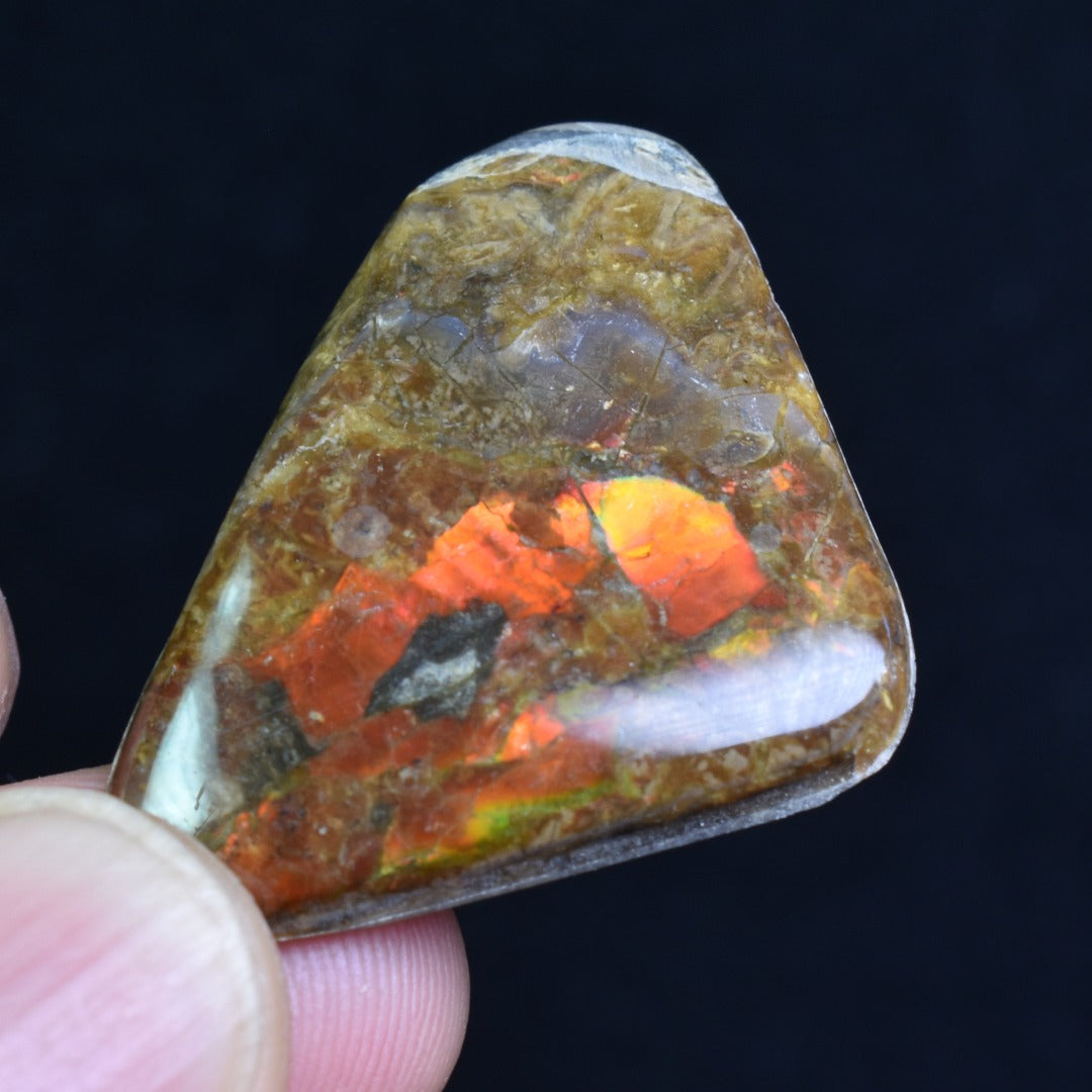 Canadian Natural Ammolite, Ammonite Freeform Polished Cabochon Specimen - 3.7cm x 2.5cm - 4.5 grams
