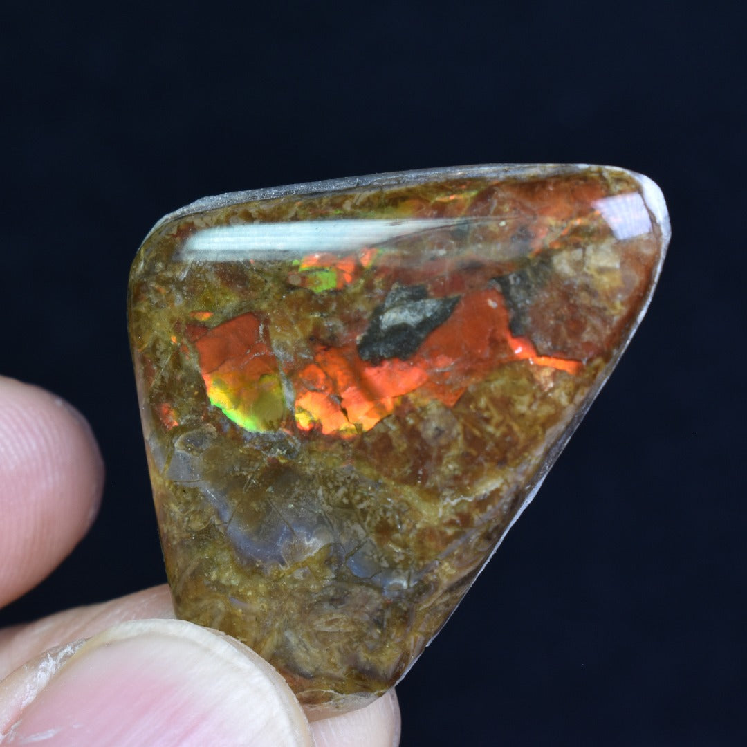 Canadian Natural Ammolite, Ammonite Freeform Polished Cabochon Specimen - 3.7cm x 2.5cm - 4.5 grams