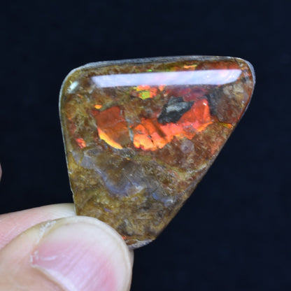 Canadian Natural Ammolite, Ammonite Freeform Polished Cabochon Specimen - 3.7cm x 2.5cm - 4.5 grams