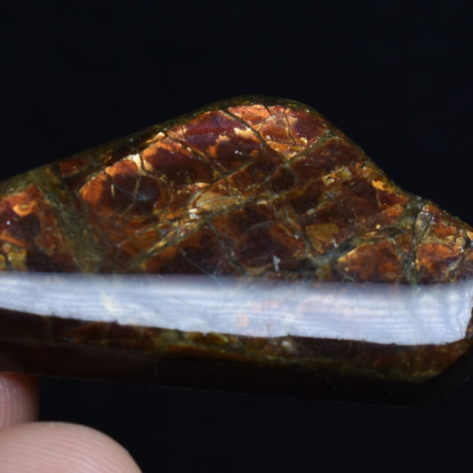 Canadian Natural Ammolite, Ammonite Freeform Polished Cabochon Specimen - 3.9cm x 1.9cm - 7.7 grams