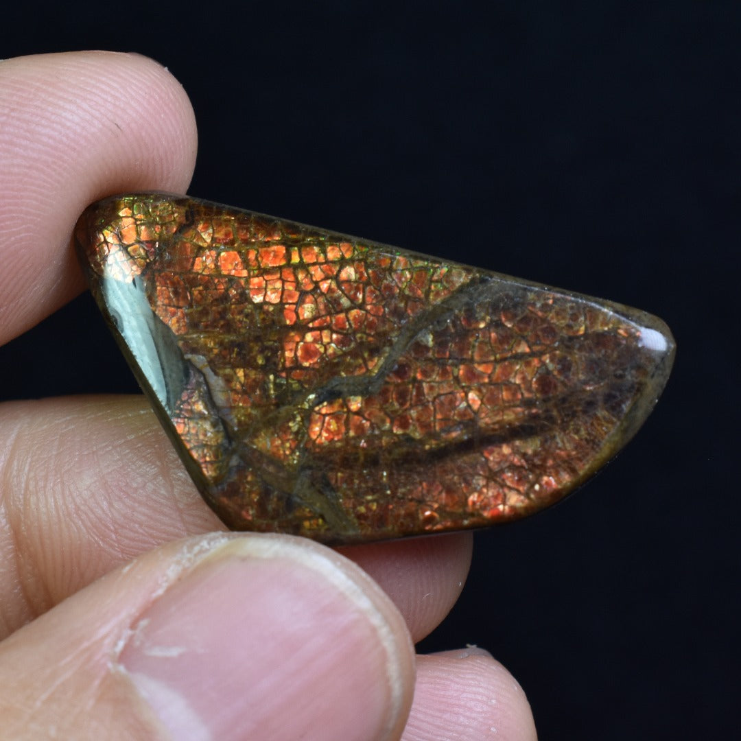 Canadian Natural Ammolite, Ammonite Freeform Polished Cabochon Specimen - 3.5cm x 1.8cm - 4.6 grams