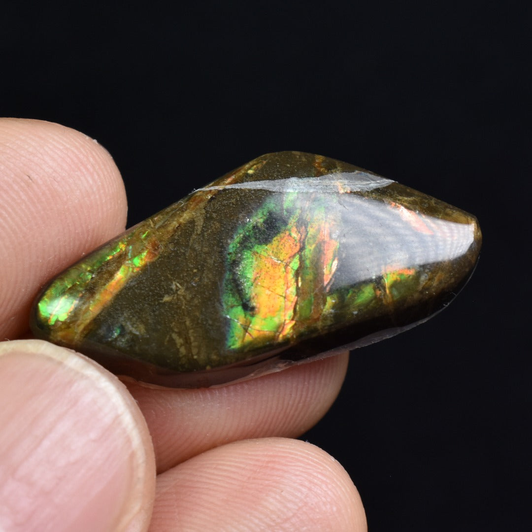 Canadian Natural Ammolite, Ammonite Freeform Polished Cabochon Specimen - 3cm x 1.5cm - 3.6 grams