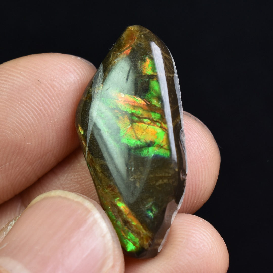 Canadian Natural Ammolite, Ammonite Freeform Polished Cabochon Specimen - 3cm x 1.5cm - 3.6 grams