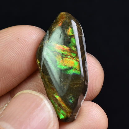 Canadian Natural Ammolite, Ammonite Freeform Polished Cabochon Specimen - 3cm x 1.5cm - 3.6 grams