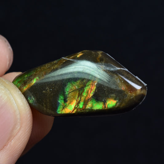 Canadian Natural Ammolite, Ammonite Freeform Polished Cabochon Specimen - 3cm x 1.5cm - 3.6 grams