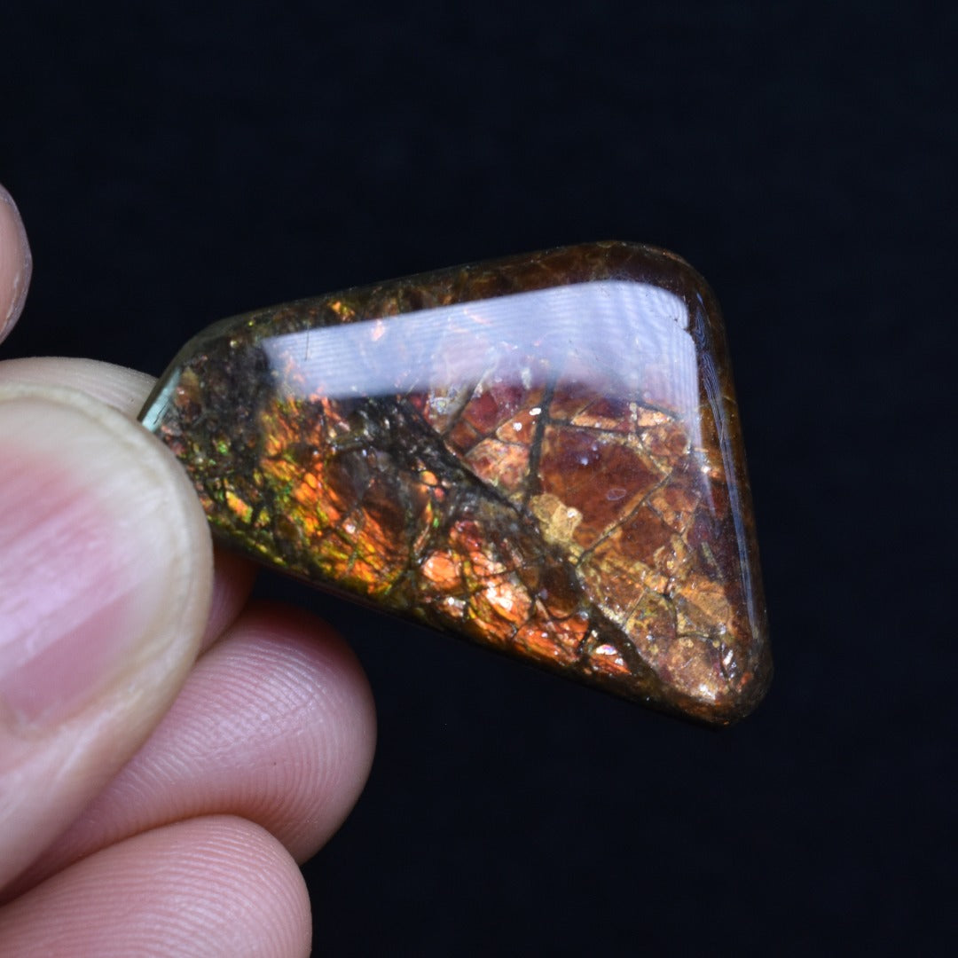 Canadian Natural Ammolite, Ammonite Freeform Polished Cabochon Specimen - 3cm x 2.3cm - 5.3 grams