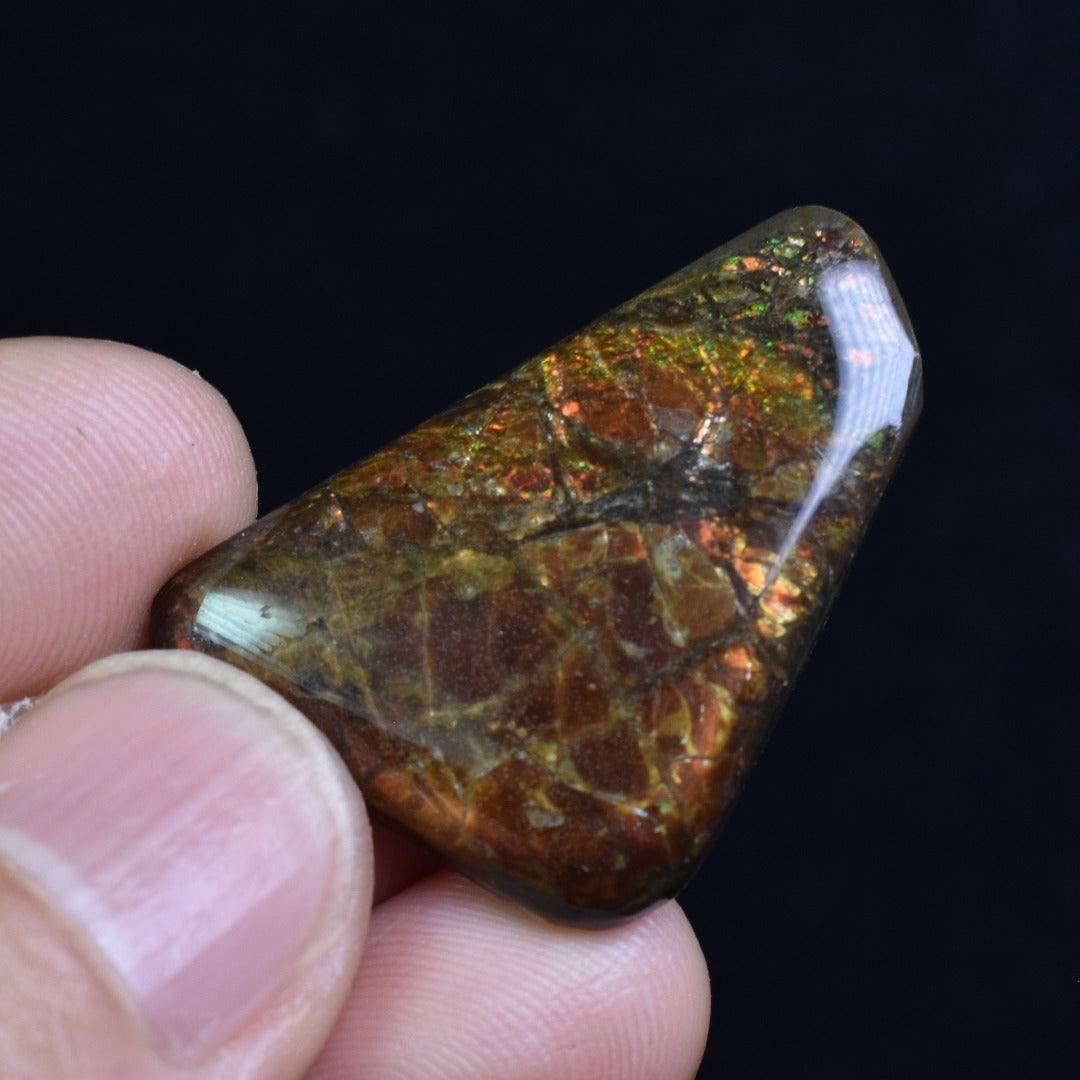 Canadian Natural Ammolite, Ammonite Freeform Polished Cabochon Specimen - 3cm x 2.3cm - 5.3 grams