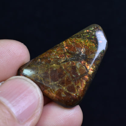 Canadian Natural Ammolite, Ammonite Freeform Polished Cabochon Specimen - 3cm x 2.3cm - 5.3 grams