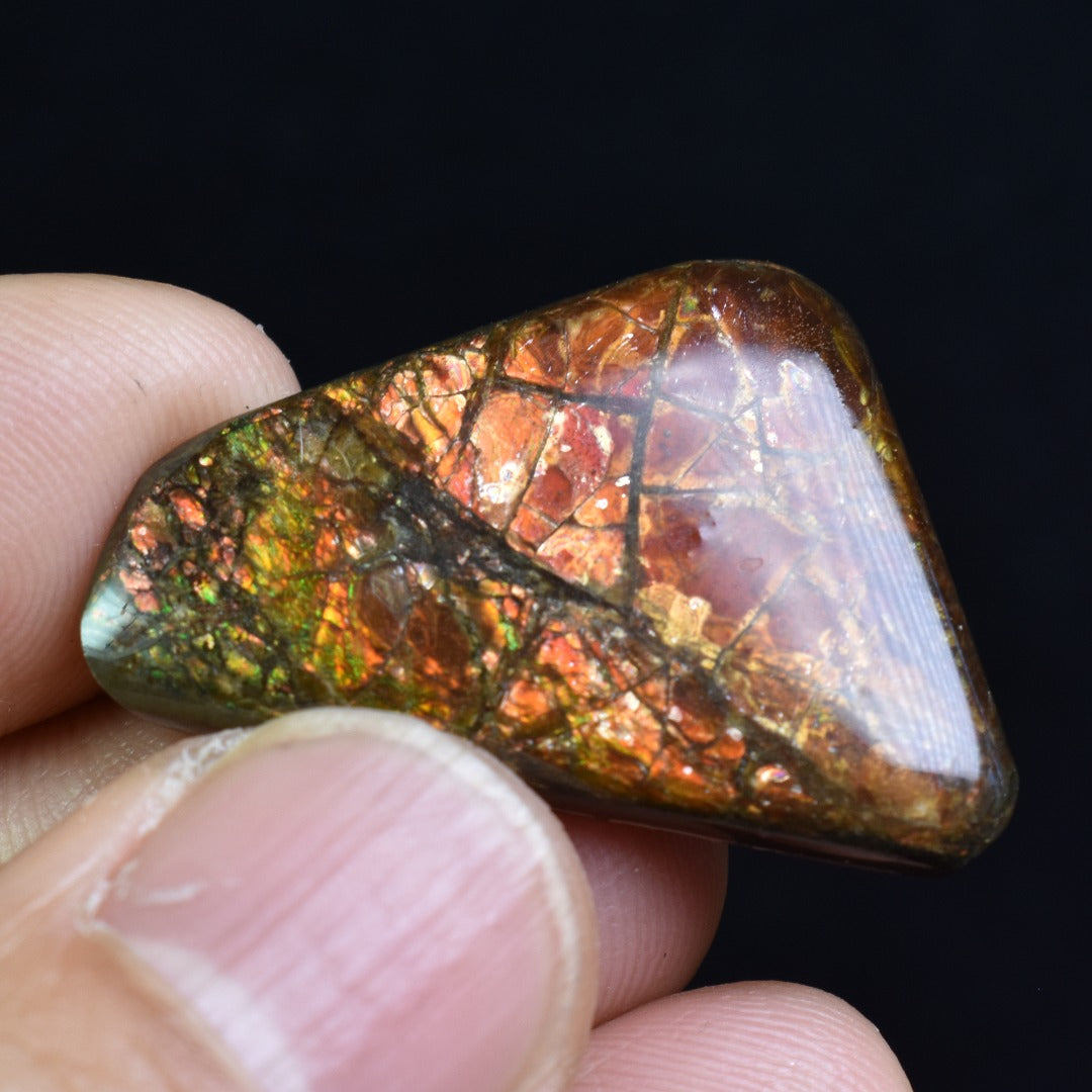 Canadian Natural Ammolite, Ammonite Freeform Polished Cabochon Specimen - 3cm x 2.3cm - 5.3 grams