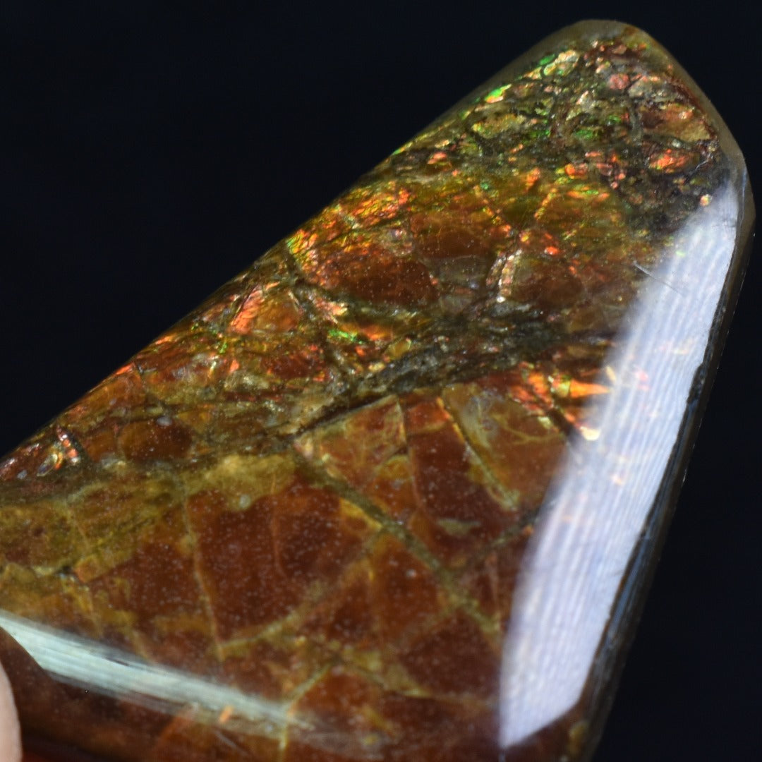 Canadian Natural Ammolite, Ammonite Freeform Polished Cabochon Specimen - 3cm x 2.3cm - 5.3 grams