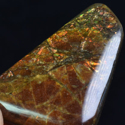 Canadian Natural Ammolite, Ammonite Freeform Polished Cabochon Specimen - 3cm x 2.3cm - 5.3 grams
