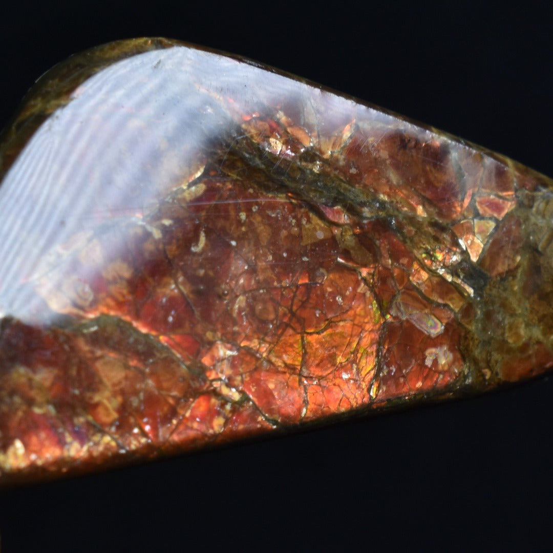 Canadian Natural Ammolite, Ammonite Freeform Polished Cabochon Specimen - 4cm x 1.9cm - 5.2 grams