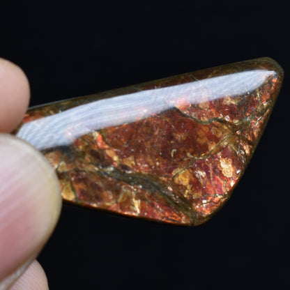 Canadian Natural Ammolite, Ammonite Freeform Polished Cabochon Specimen - 4cm x 1.9cm - 5.2 grams