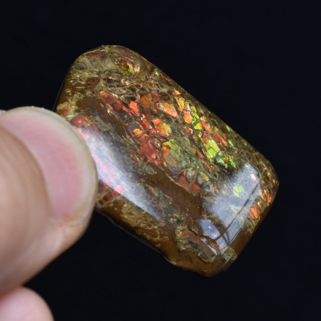 Canadian Natural Ammolite, Ammonite Freeform Polished Cabochon Specimen - 3.2cm x 2.3cm - 5.7 grams