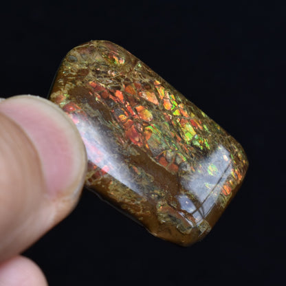 Canadian Natural Ammolite, Ammonite Freeform Polished Cabochon Specimen - 3.2cm x 2.3cm - 5.7 grams