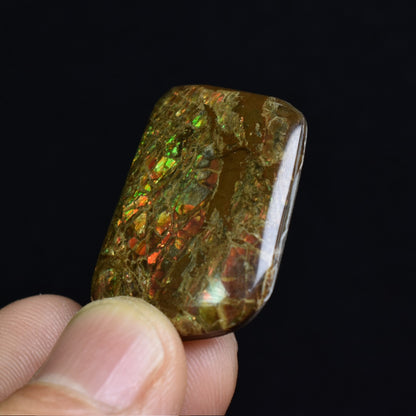 Canadian Natural Ammolite, Ammonite Freeform Polished Cabochon Specimen - 3.2cm x 2.3cm - 5.7 grams