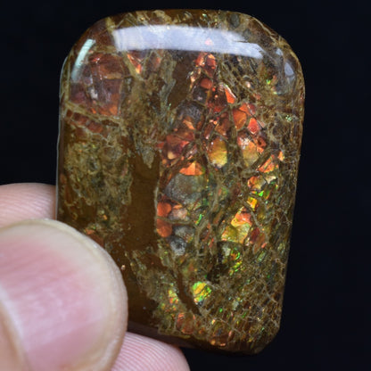 Canadian Natural Ammolite, Ammonite Freeform Polished Cabochon Specimen - 3.2cm x 2.3cm - 5.7 grams