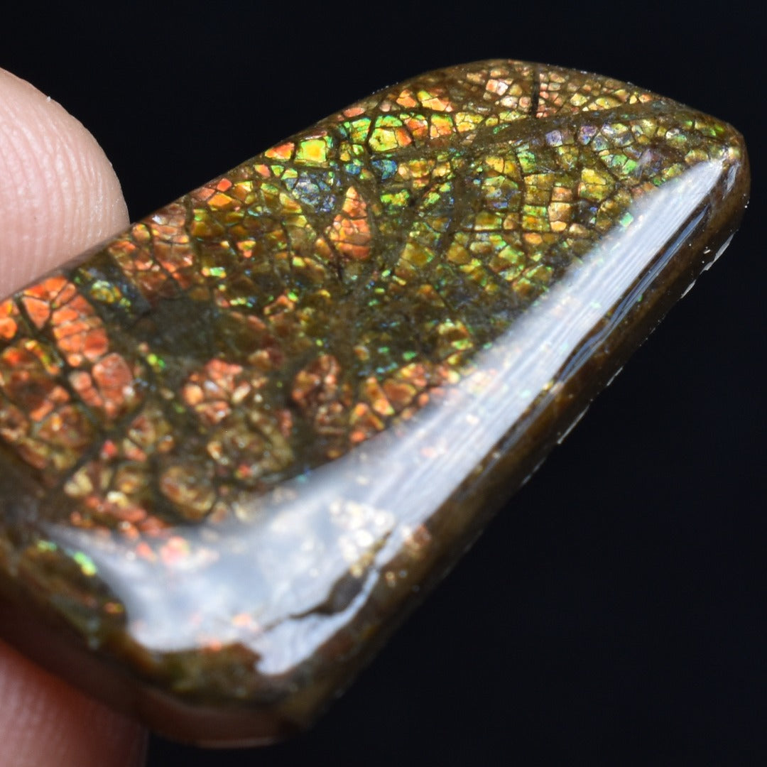 Canadian Natural Ammolite, Ammonite Freeform Polished Cabochon Specimen - 2.8cm x 1.6cm - 3.6 grams