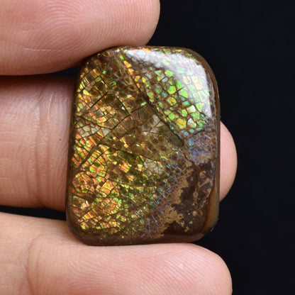 Canadian Natural Ammolite, Ammonite Freeform Polished Cabochon Specimen - 2.5cm x 1.9cm - 3.8 grams