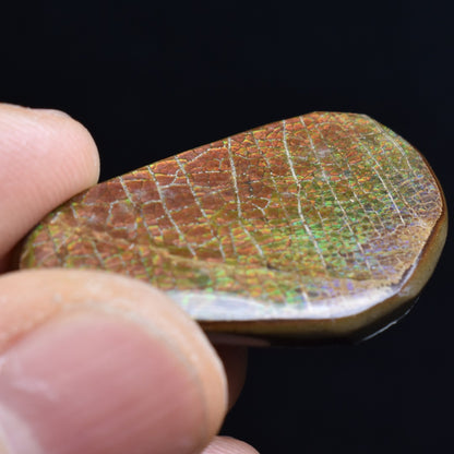 Canadian Natural Ammolite, Ammonite Freeform Polished Cabochon Specimen - 3.4cm x 2cm - 5.2 grams