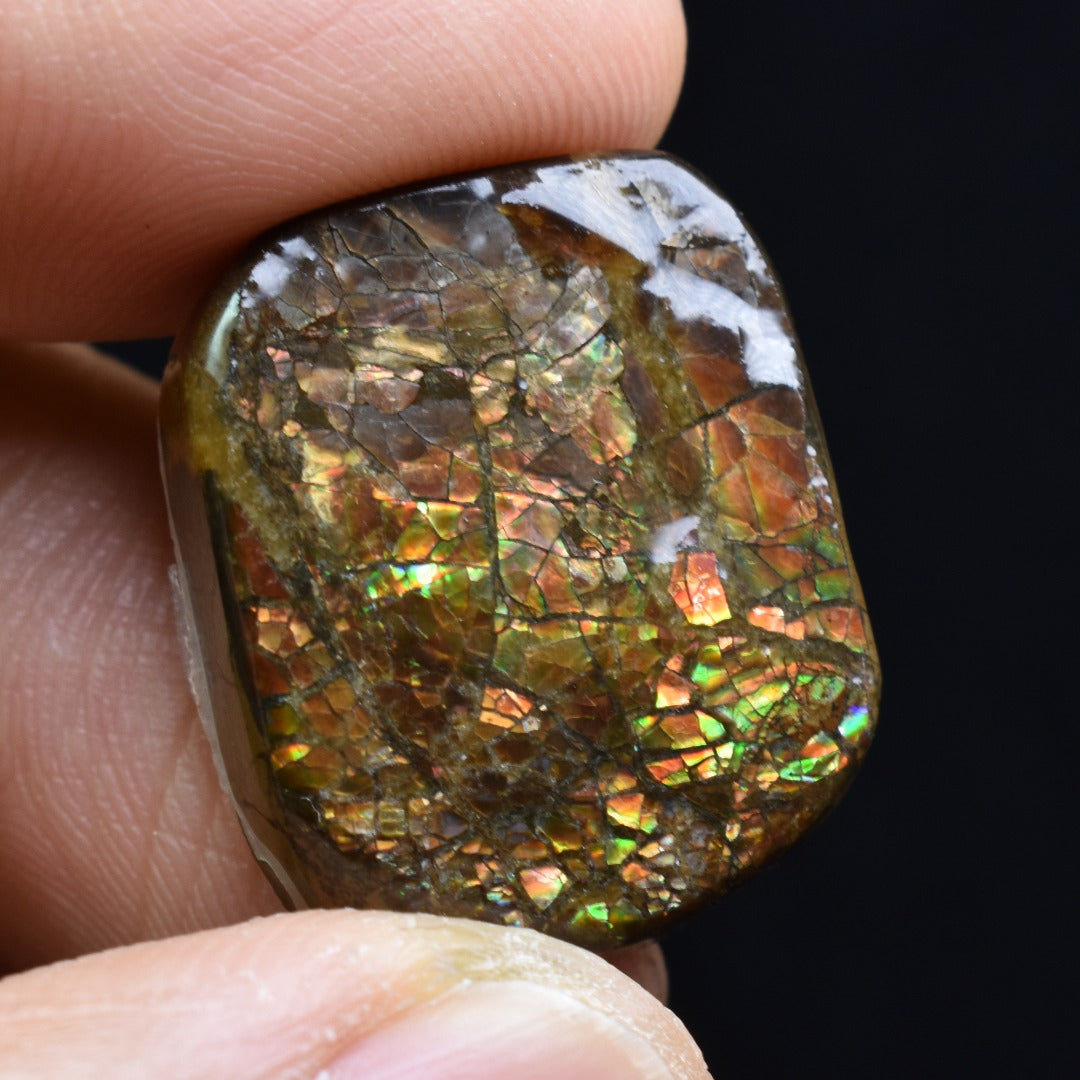 Canadian Natural Ammolite, Ammonite Freeform Polished Cabochon Specimen - 2.2cm x 1.8cm - 5.4 grams