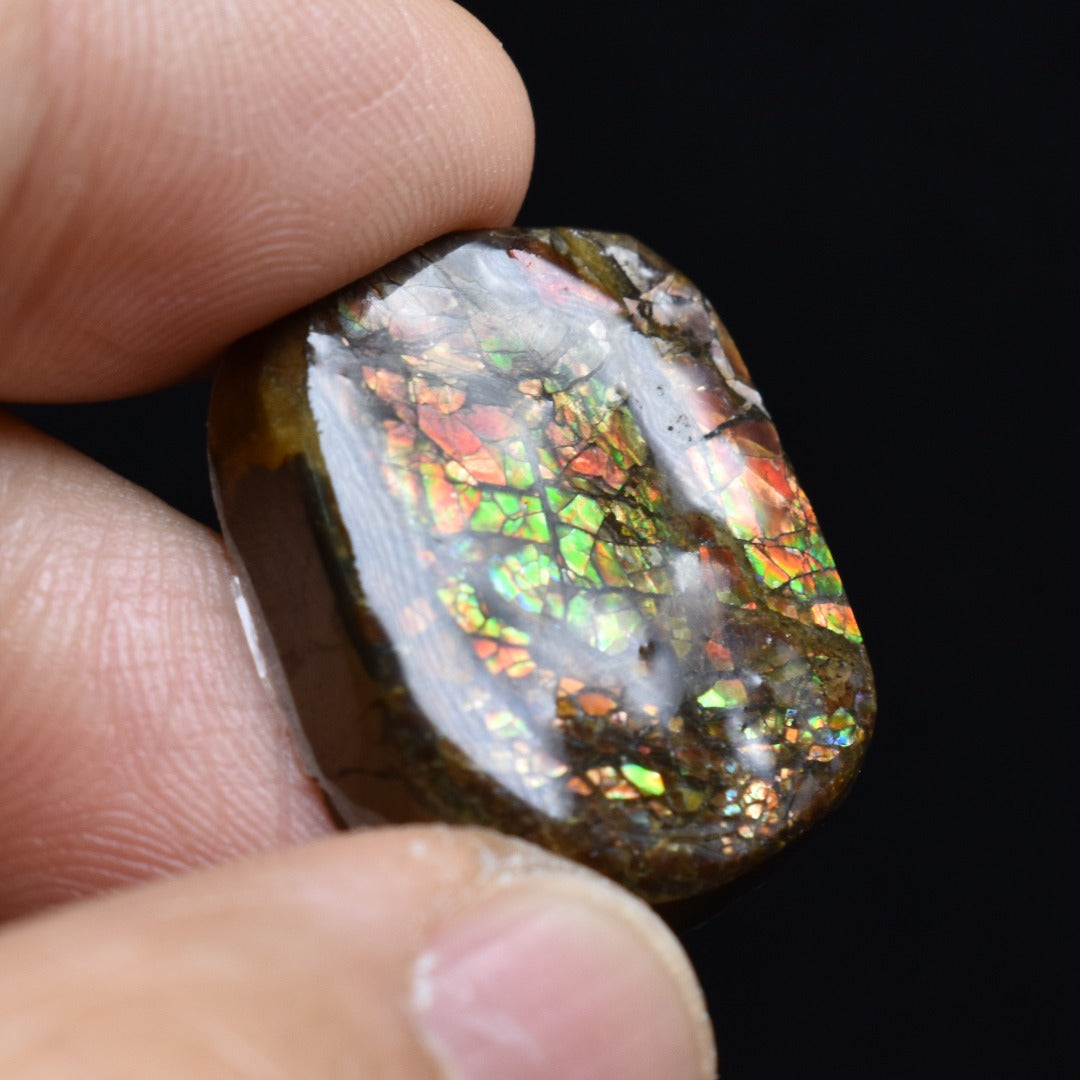Canadian Natural Ammolite, Ammonite Freeform Polished Cabochon Specimen - 2.2cm x 1.8cm - 5.4 grams