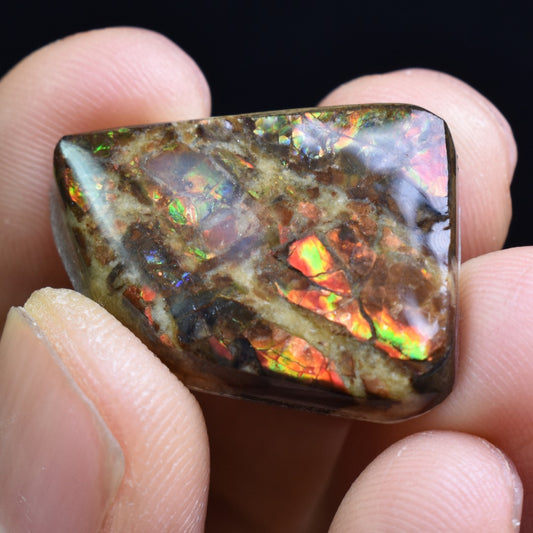 Canadian Natural Ammolite, Ammonite Freeform Polished Cabochon Specimen - 2.5cm x 1.9cm - 5.1 grams