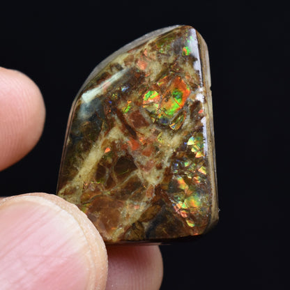 Canadian Natural Ammolite, Ammonite Freeform Polished Cabochon Specimen - 2.5cm x 1.9cm - 5.1 grams