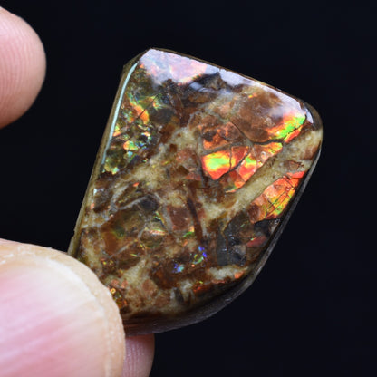 Canadian Natural Ammolite, Ammonite Freeform Polished Cabochon Specimen - 2.5cm x 1.9cm - 5.1 grams