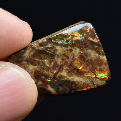 Canadian Natural Ammolite, Ammonite Freeform Polished Cabochon Specimen - 2.5cm x 1.9cm - 5.1 grams