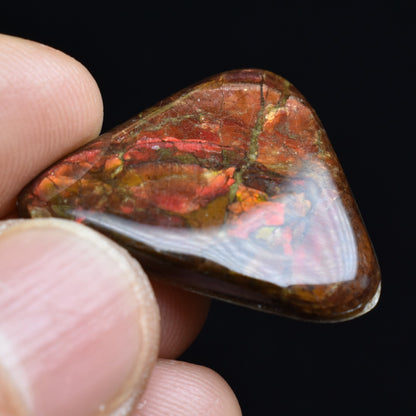Canadian Natural Ammolite, Ammonite Freeform Polished Cabochon Specimen - 2.5cm x 2.3cm - 3.1 grams