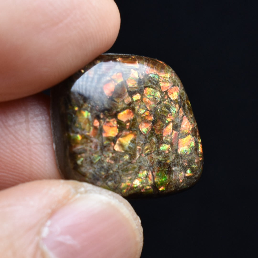 Canadian Natural Ammolite, Ammonite Freeform Polished Cabochon Specimen - 2cm x 1.7cm - 3 grams