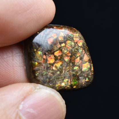 Canadian Natural Ammolite, Ammonite Freeform Polished Cabochon Specimen - 2cm x 1.7cm - 3 grams