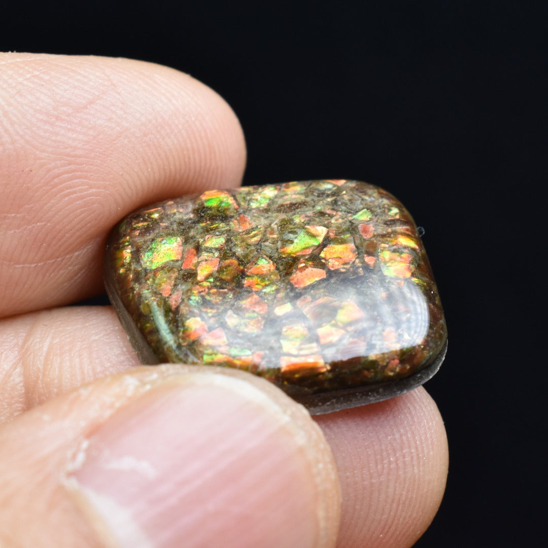 Canadian Natural Ammolite, Ammonite Freeform Polished Cabochon Specimen - 2cm x 1.7cm - 3 grams
