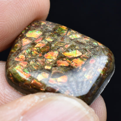 Canadian Natural Ammolite, Ammonite Freeform Polished Cabochon Specimen - 2cm x 1.7cm - 3 grams