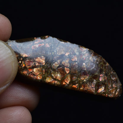 Canadian Natural Ammolite, Ammonite Freeform Polished Cabochon Specimen - 4.5cm x 1.7cm - 14.7 grams