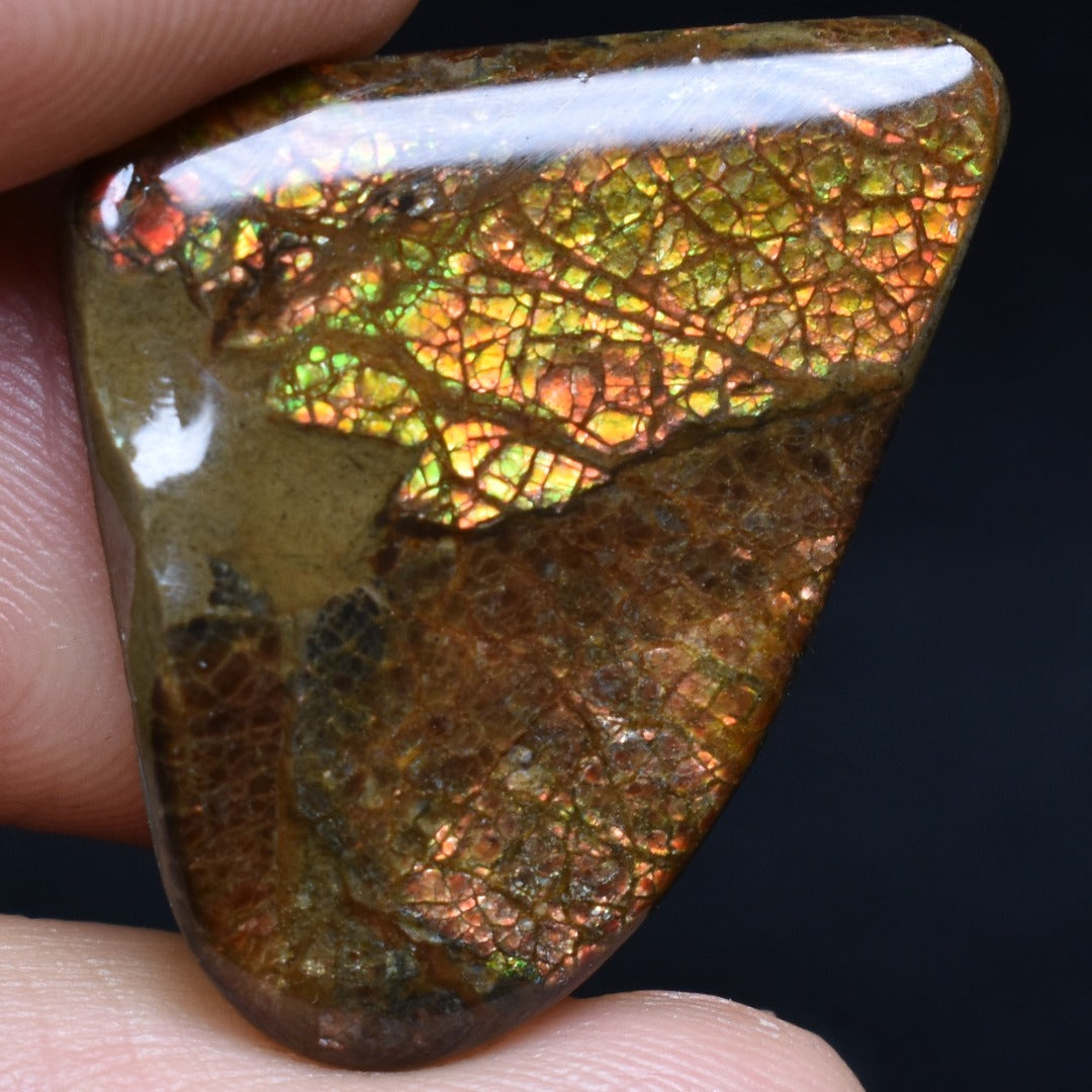 Canadian Natural Ammolite, Ammonite Freeform Polished Cabochon Specimen - 2.9cm x 2cm - 4.8 grams