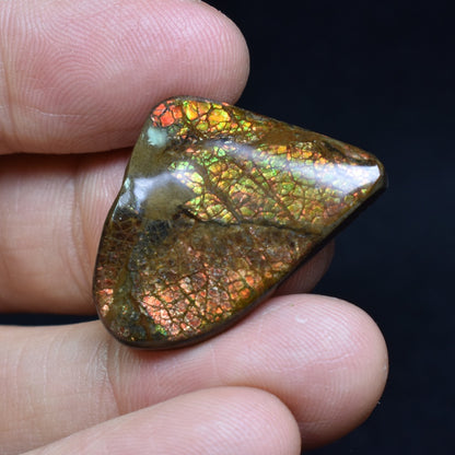 Canadian Natural Ammolite, Ammonite Freeform Polished Cabochon Specimen - 2.9cm x 2cm - 4.8 grams