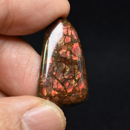 Canadian Natural Ammolite, Ammonite Freeform Polished Cabochon Specimen - 2.8cm x 1.7cm - 3.6 grams