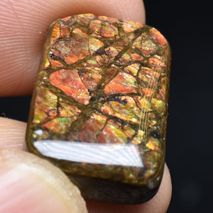 Canadian Natural Ammolite, Ammonite Freeform Polished Cabochon Specimen - 2.2cm x 1.4cm - 4.5 grams