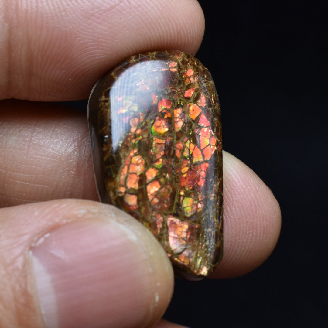 Canadian Natural Ammolite, Ammonite Freeform Polished Cabochon Specimen - 2.7cm x 1.5cm - 5.1 grams