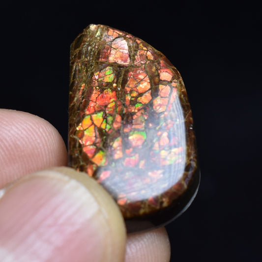 Canadian Natural Ammolite, Ammonite Freeform Polished Cabochon Specimen - 2.7cm x 1.5cm - 5.1 grams